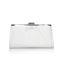 Willow Bag Dyeable Satin/Pleated Spot Mesh Clutch with Bow
